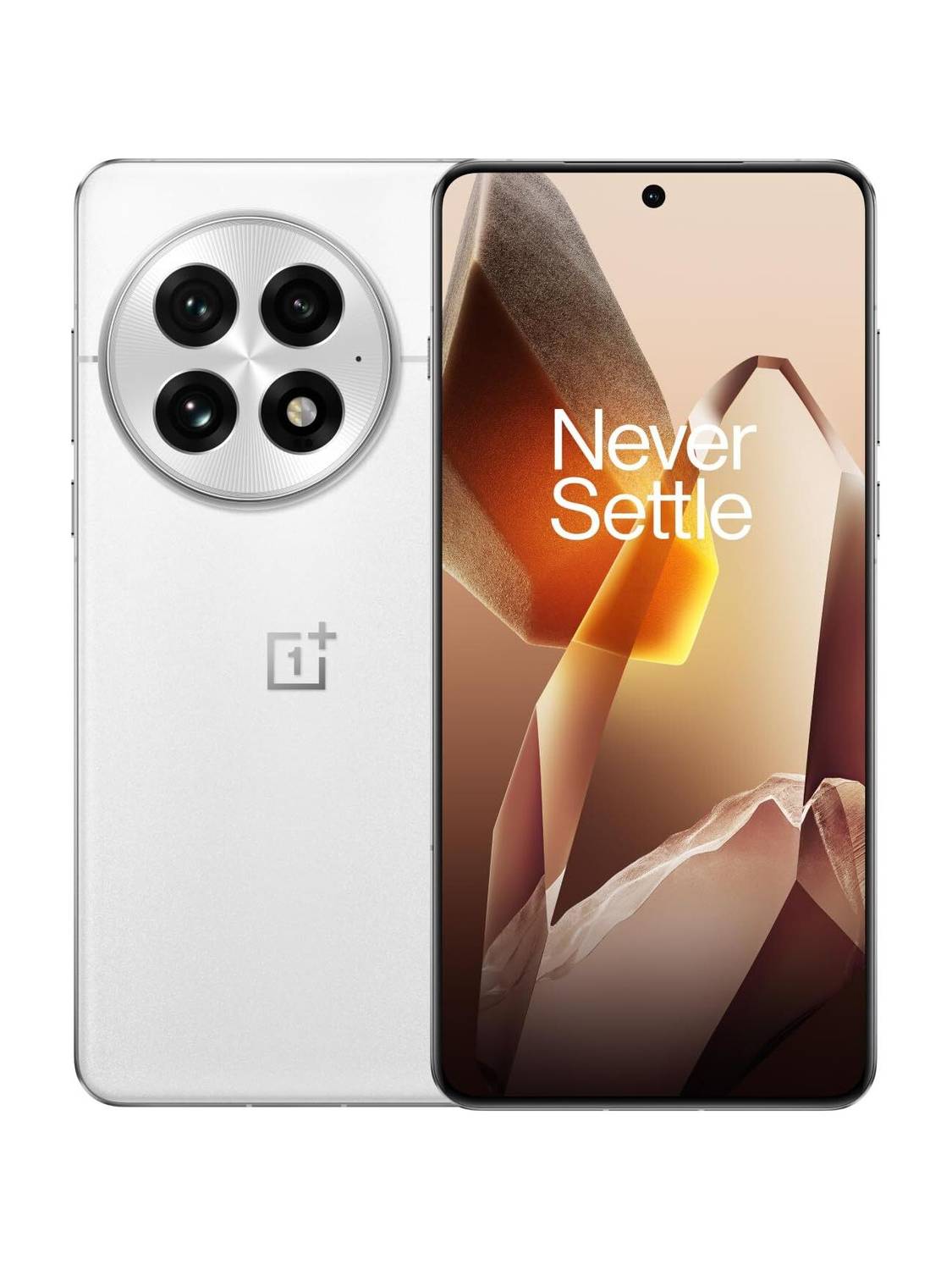 OnePlus 13 (Arctic Dawn, 256 GB)