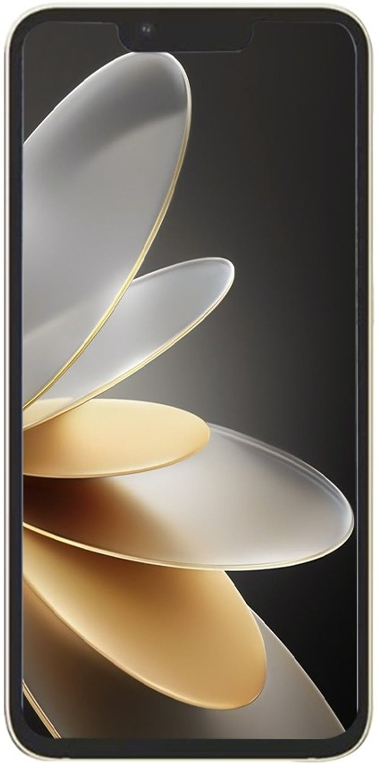 Image of BlackZone AVIATOR (Gold, 128 GB)