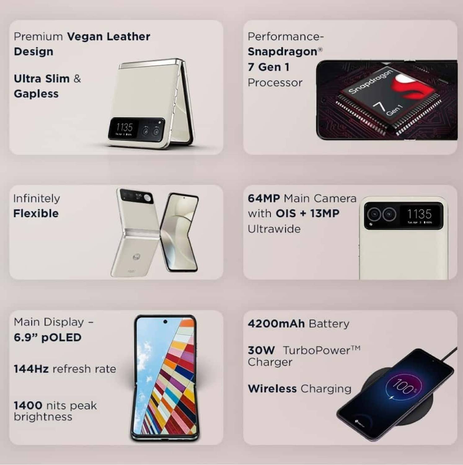 MOTOROLA razr 40 (256 GB Storage, 8 GB RAM) Online at Best Price