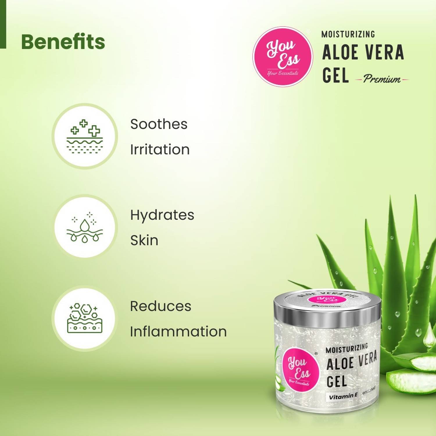 comprar aloe vera Buy Aloe Vera Plant