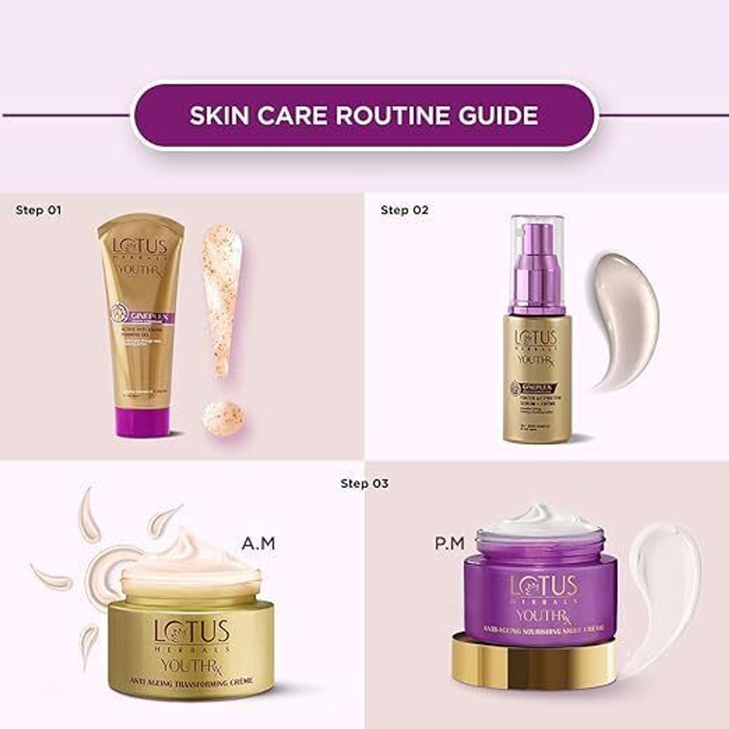 Image of LOTUS HERBALS YouthRx Anti Ageing Nourishing Night Cream | For Fine Lines & Wrinkles | 50g
