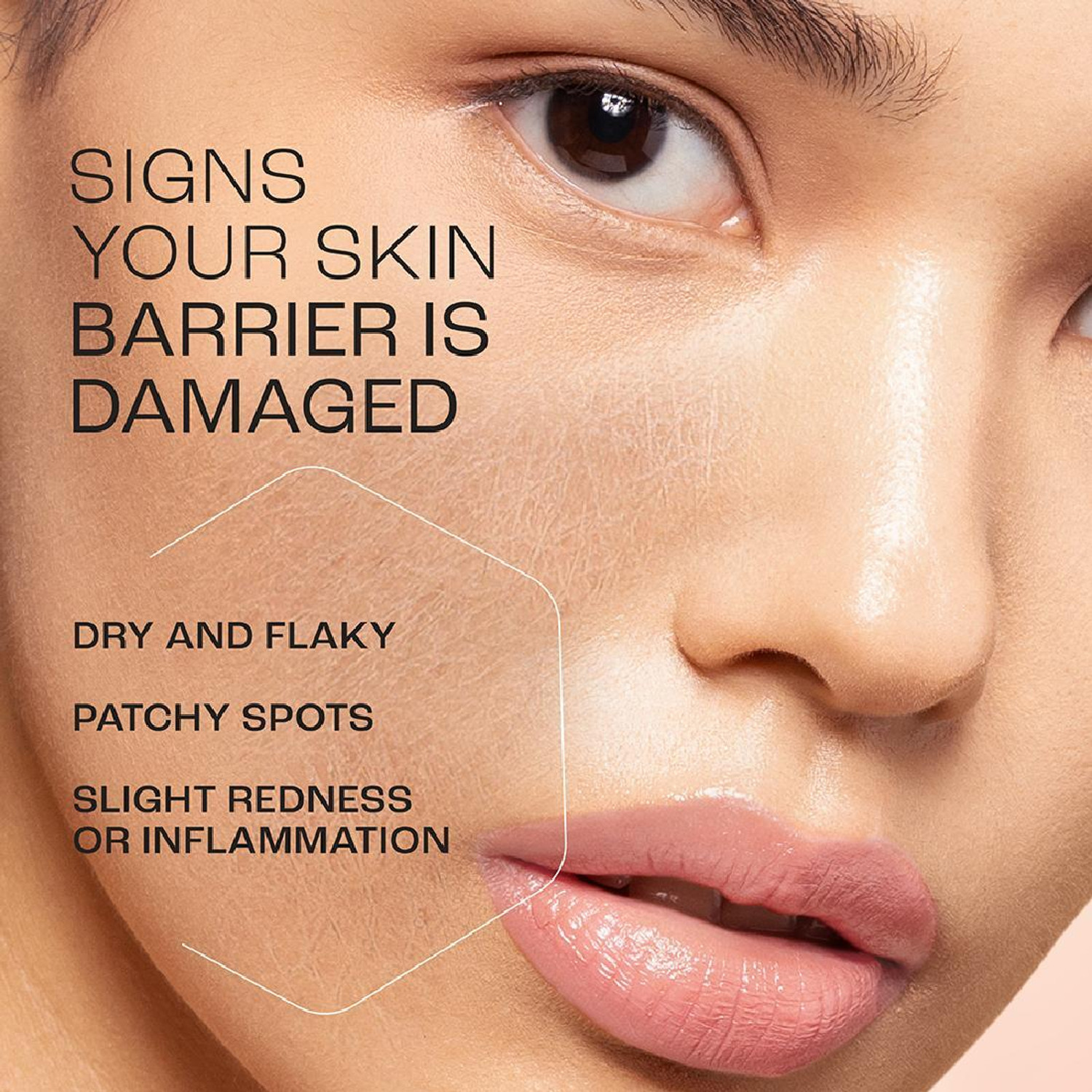 Image of Lakme maximum Moisturizer Peach Milk