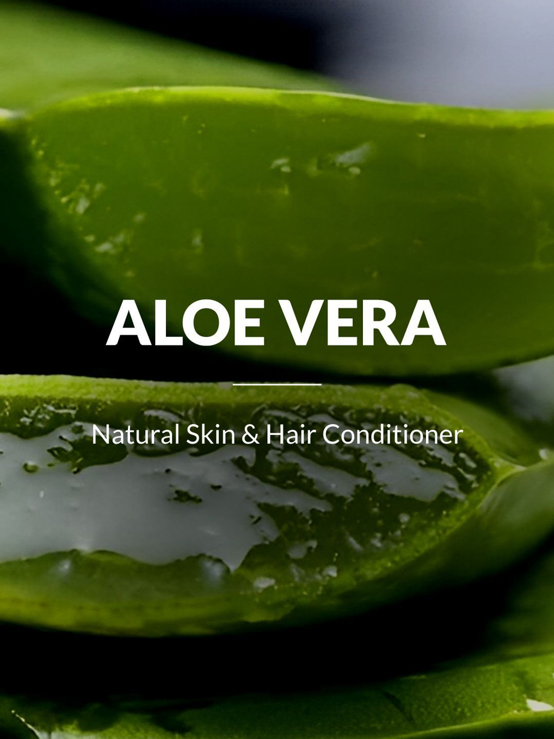 Image of Lotus Botanicals 100% Pure Aloe Vera Gel with Vitamin E | Soothing Gel for Skin and Hair