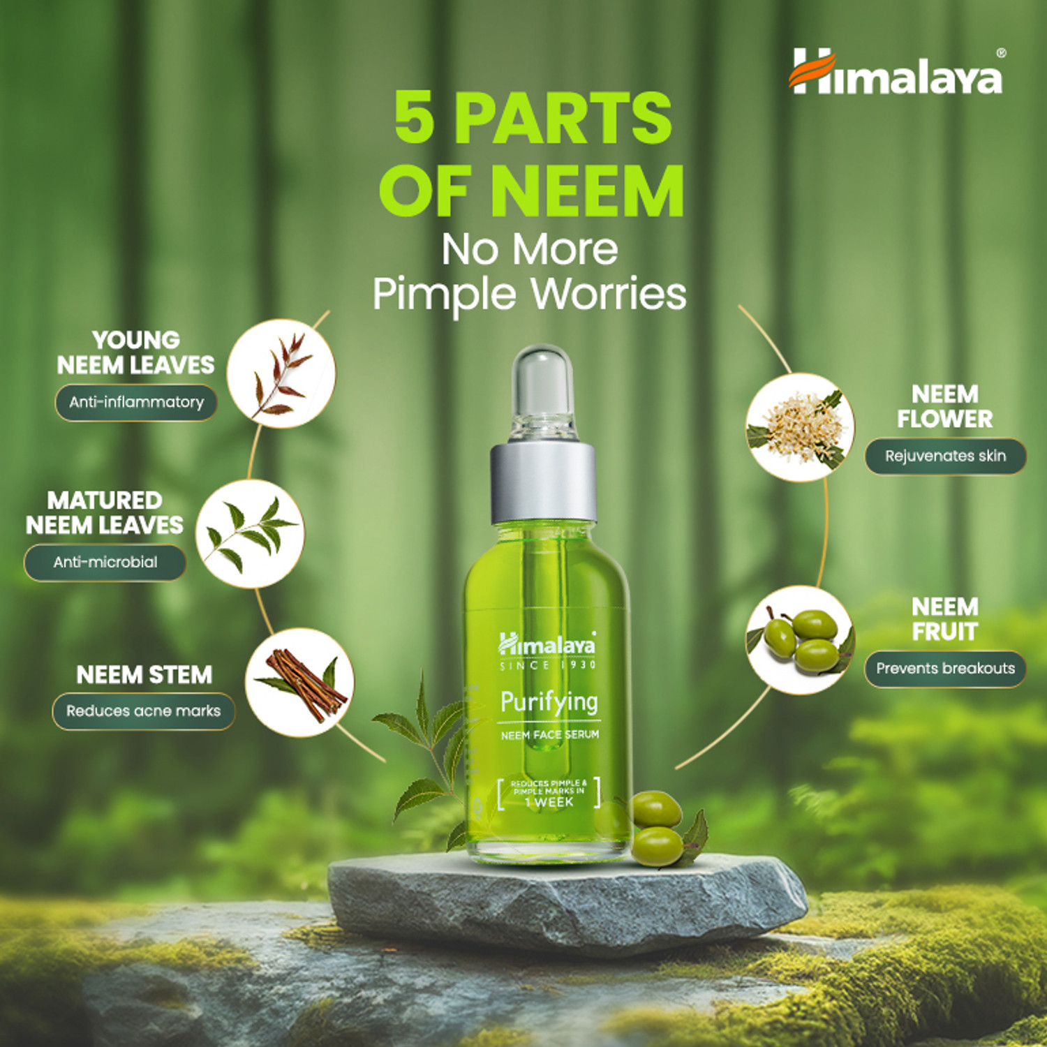 Image of HIMALAYA Purifying Neem Face Serum 30 ml