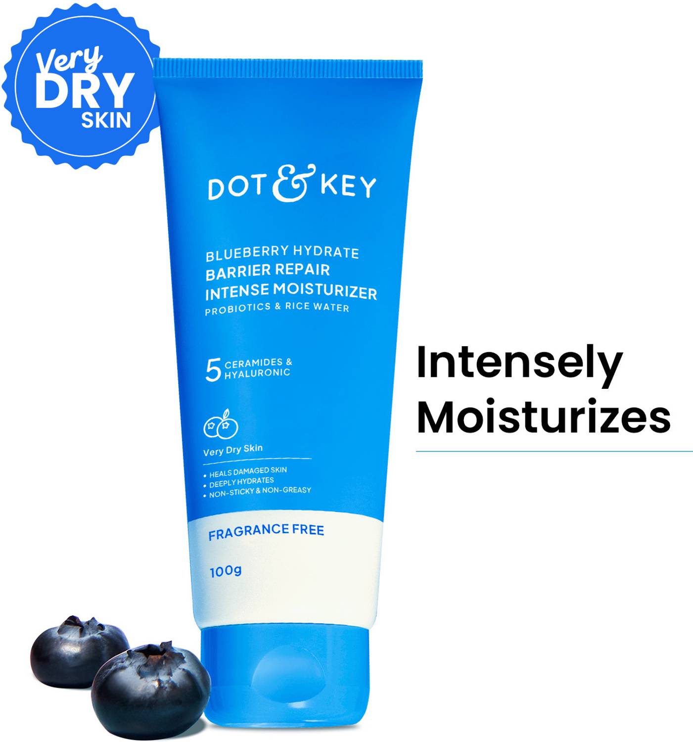 Dot & Key Blueberry Hydrate Barrier Repair Intense Moisturizer - Image 1