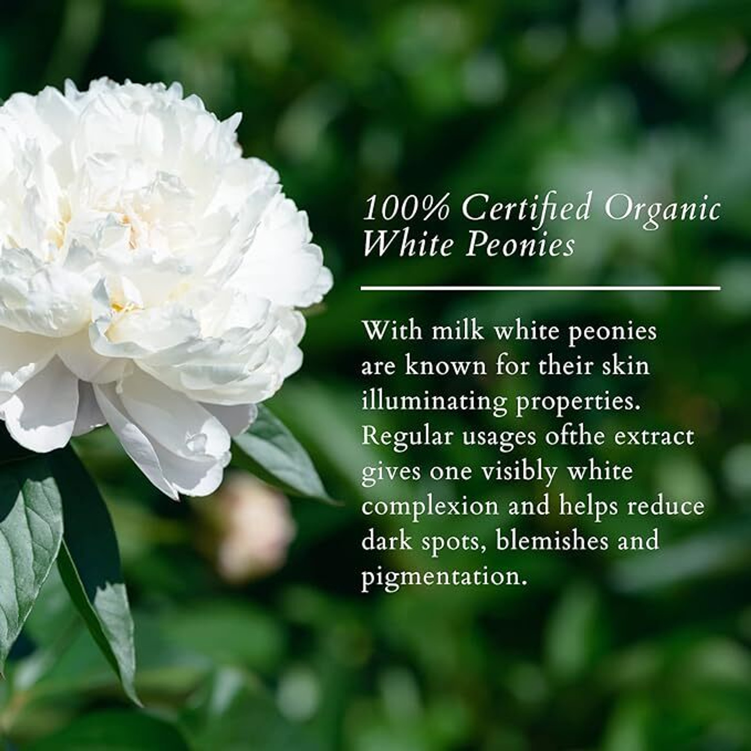 Image of Lotus Organics+ Precious Brightening Facial Oil