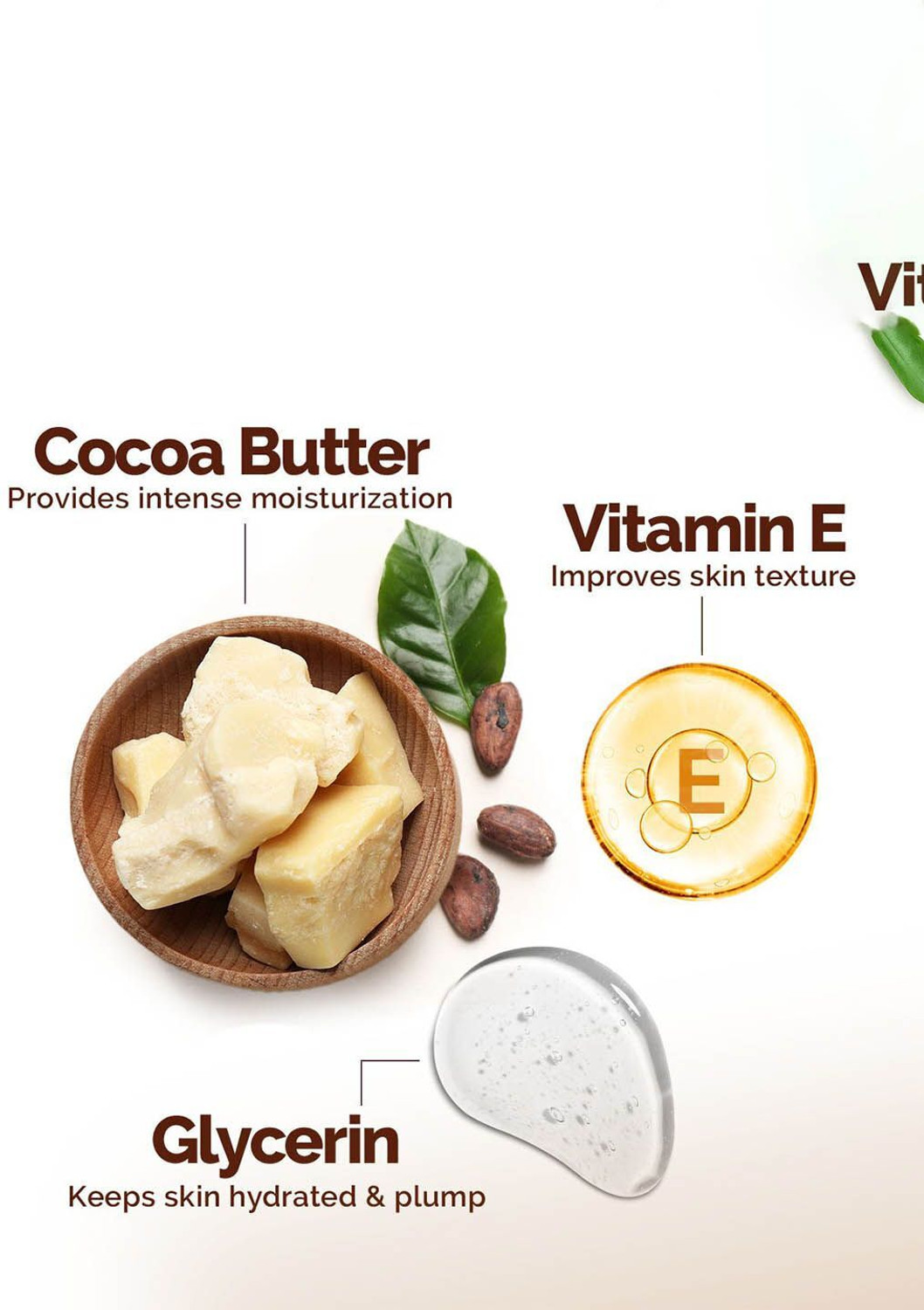Image of Mamaearth Cocoa Rich Moisturizing Body Lotion with Cocoa Butter & Vitamin E Pack Of 2