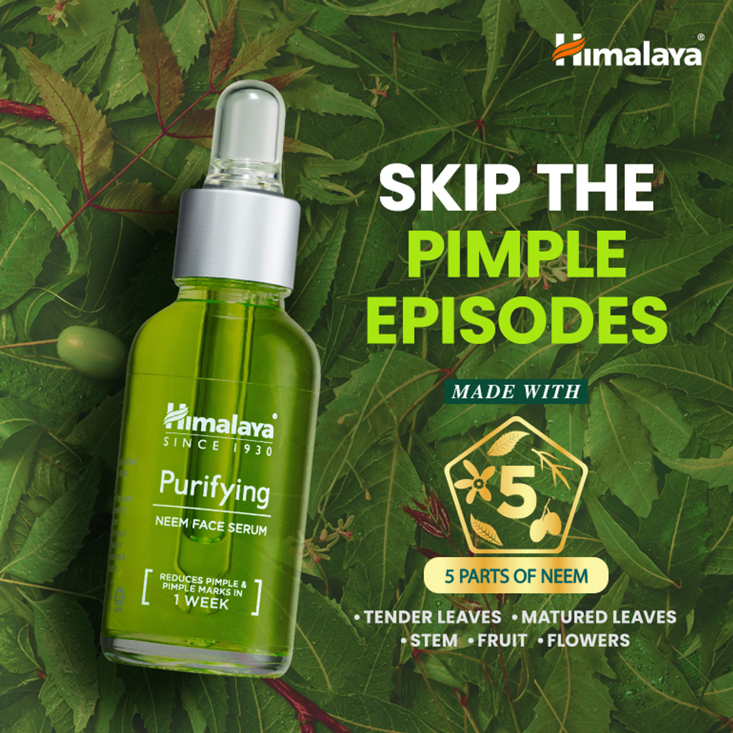 Image of HIMALAYA Purifying Neem Face Serum 30 ml