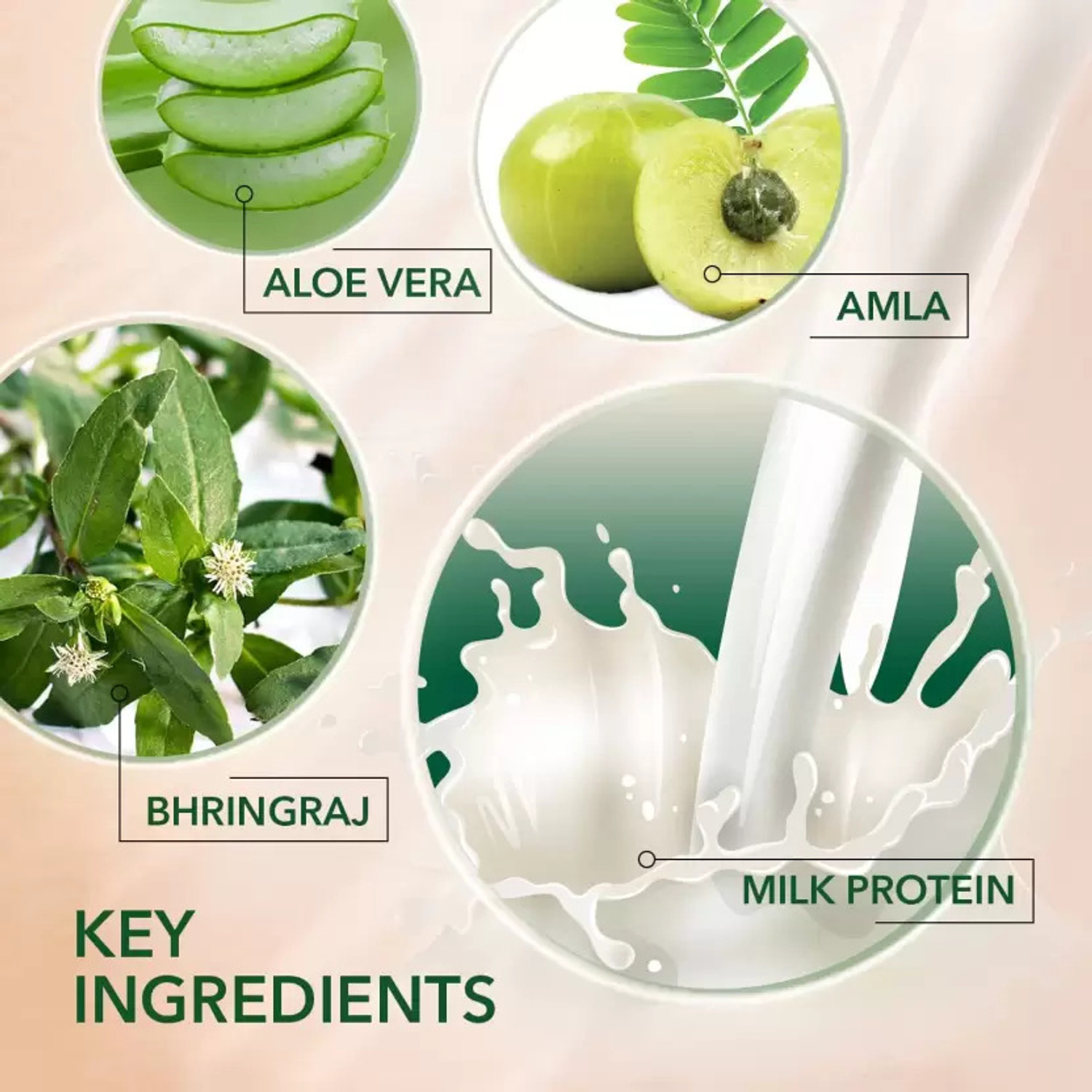 Image of Kesh King and BoroPlus Damage Repair Shampoo 600ml + Moisturising Soap - NEH 125g PO6
