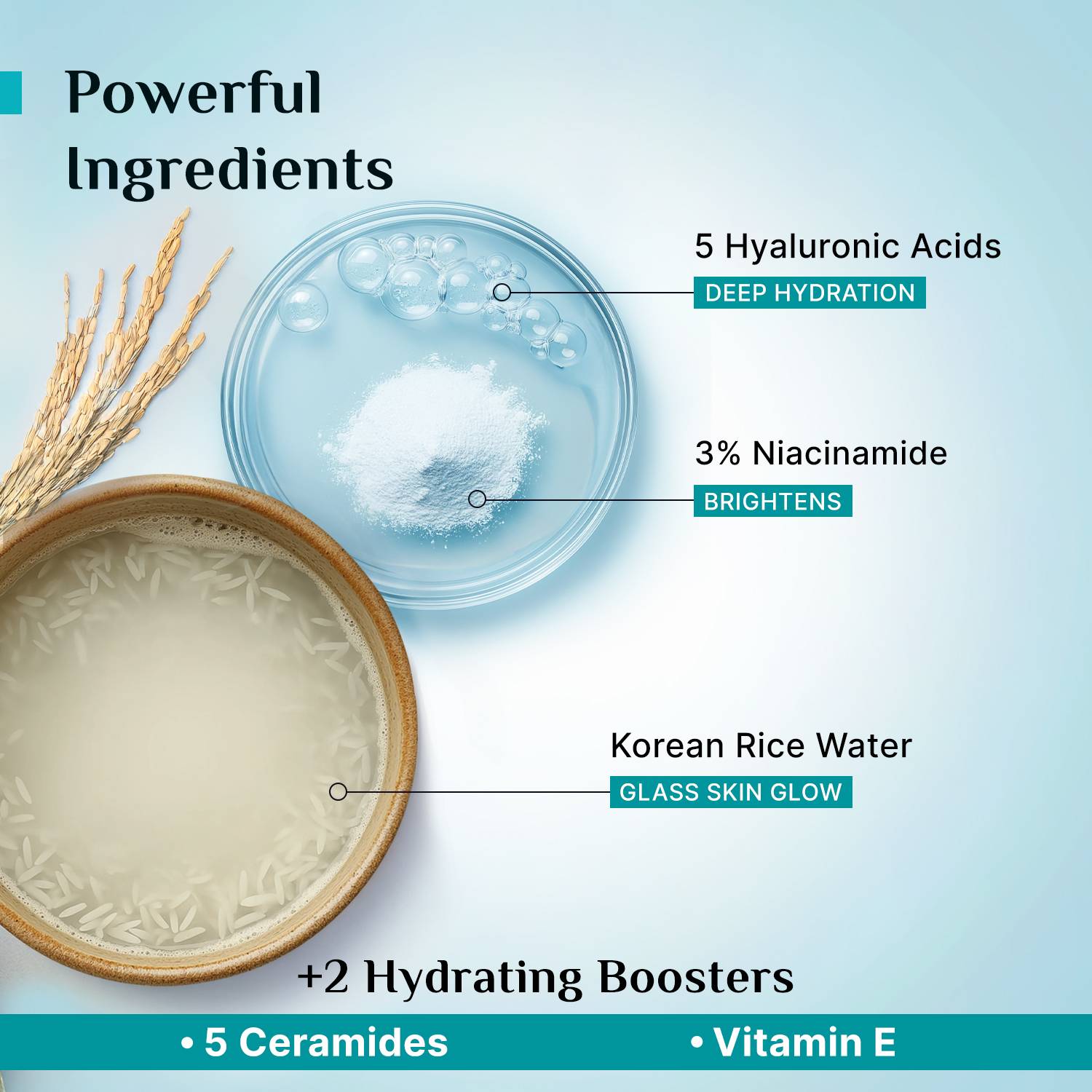 Pilgrim Korean Rice Water Hydra Glow Brightening Moisturizer 50g - Image 5
