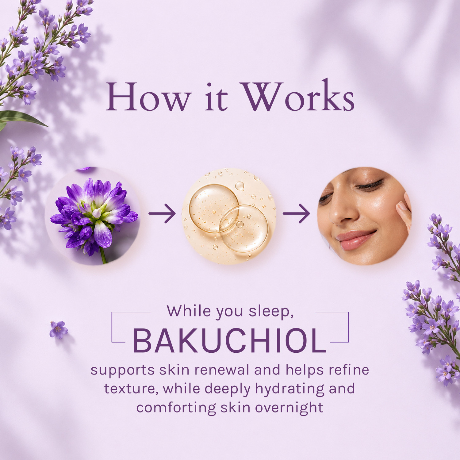 Image of Lotus Organics+ Bakuchiol Plant Retinol Night Recovery Cream | Reduces Fine Lines & Wrinkles