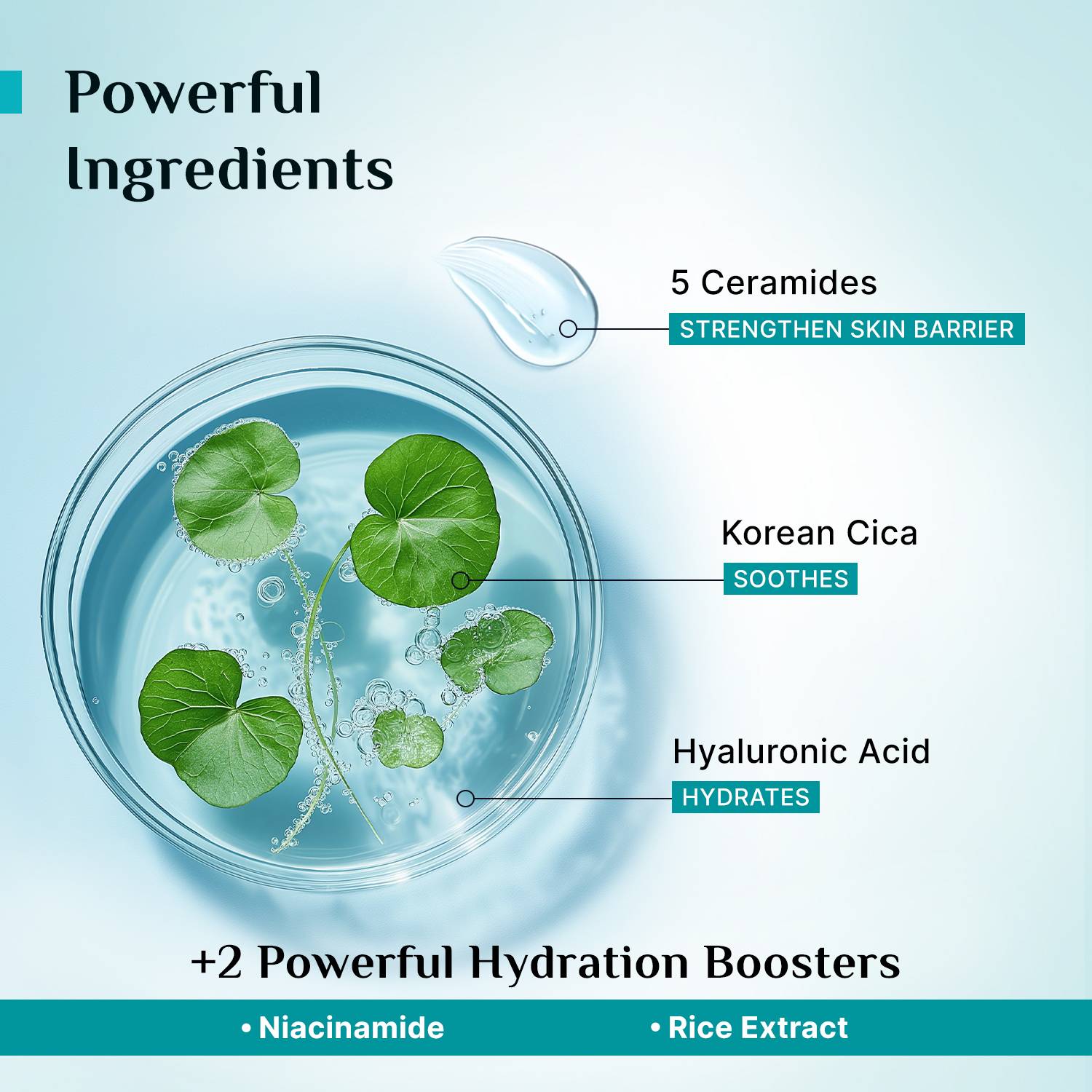 Pilgrim 5 Ceramides Moisturizer with CICA - Image 5