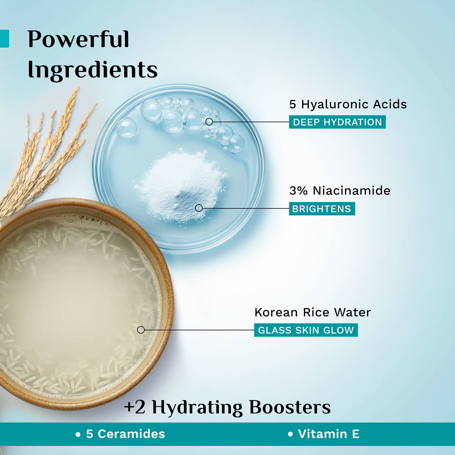 Pilgrim Korean Rice Water Hydra Glow Brightening Moisturizer - Image 4