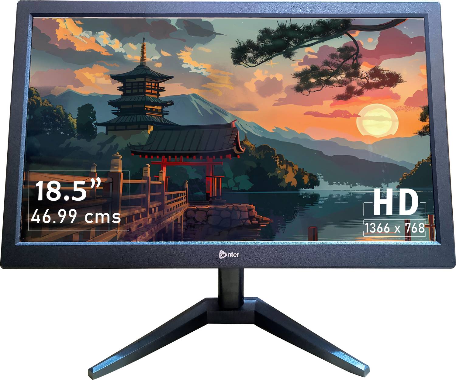 Enter 46.99 cm (19 inch) HD TN Panel Monitor (slim design black color, wall mountable)