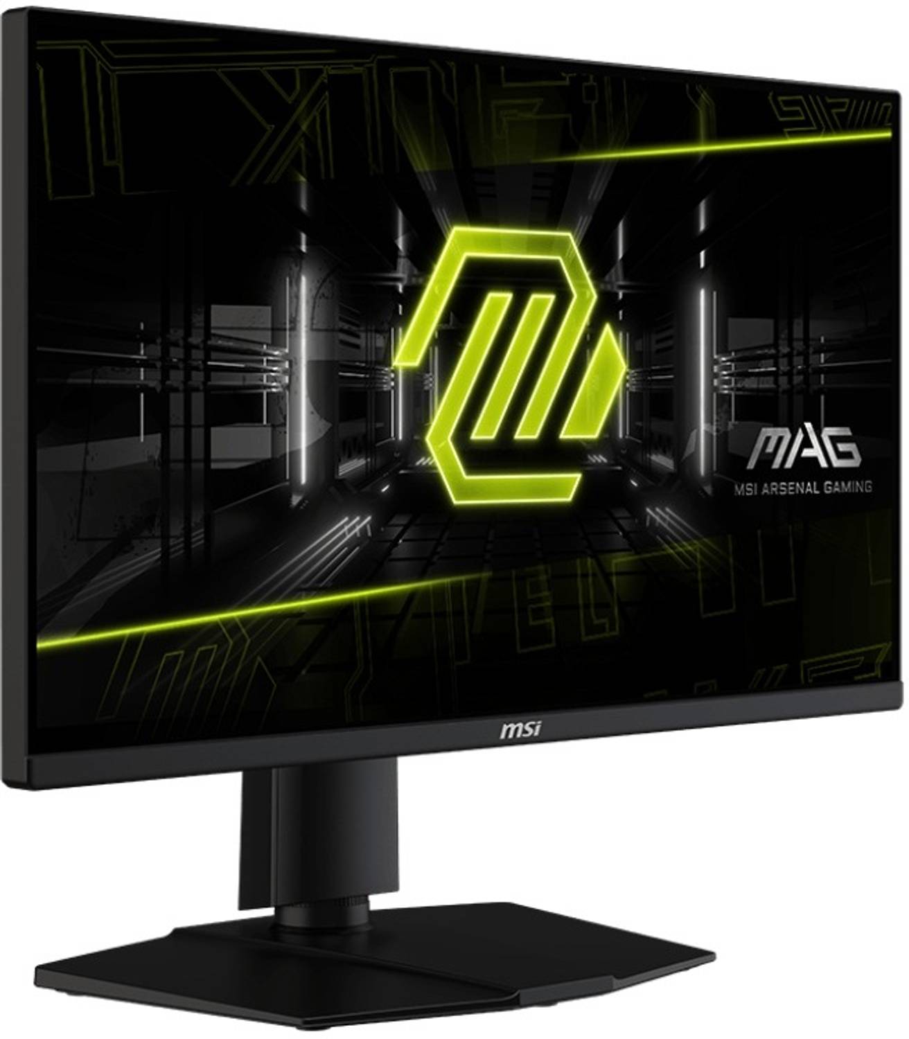 MSI 63.5 cm (25 inch) Full HD IPS Panel Gaming Monitor (MAG 255PXF