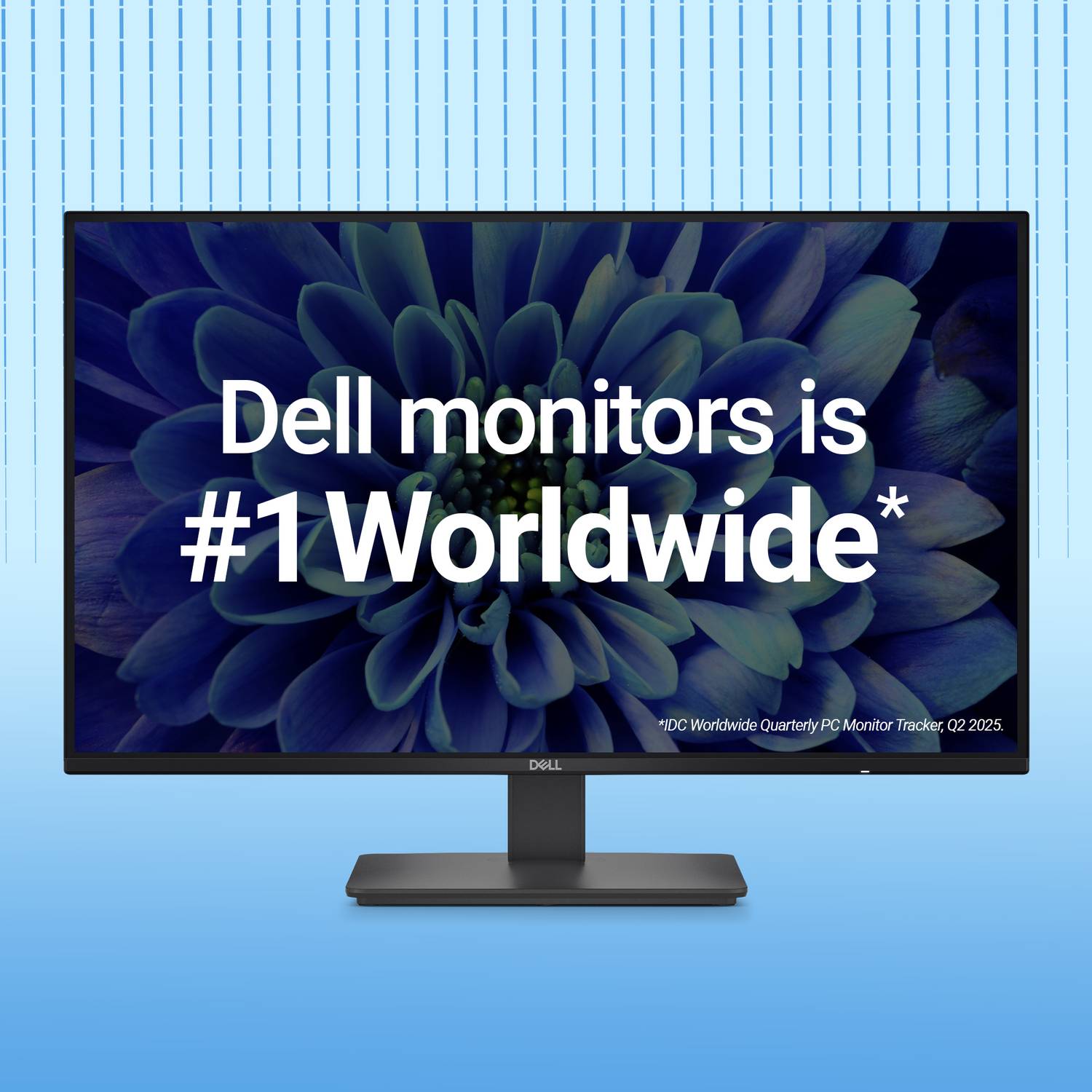 DELL SE Series 68.58 cm (27 inch) WQHD LED Backlit IPS Panel