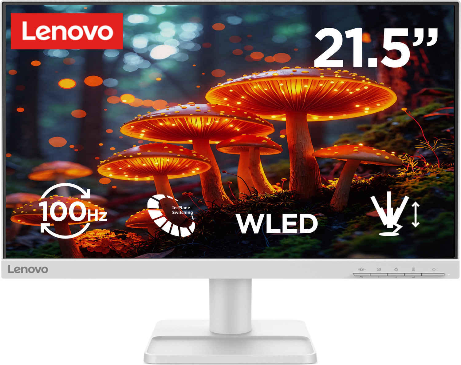 Image of Lenovo L-Series 54.61 cm (22 inch) Full HD LED Backlit IPS Panel Monitor (L22-42)