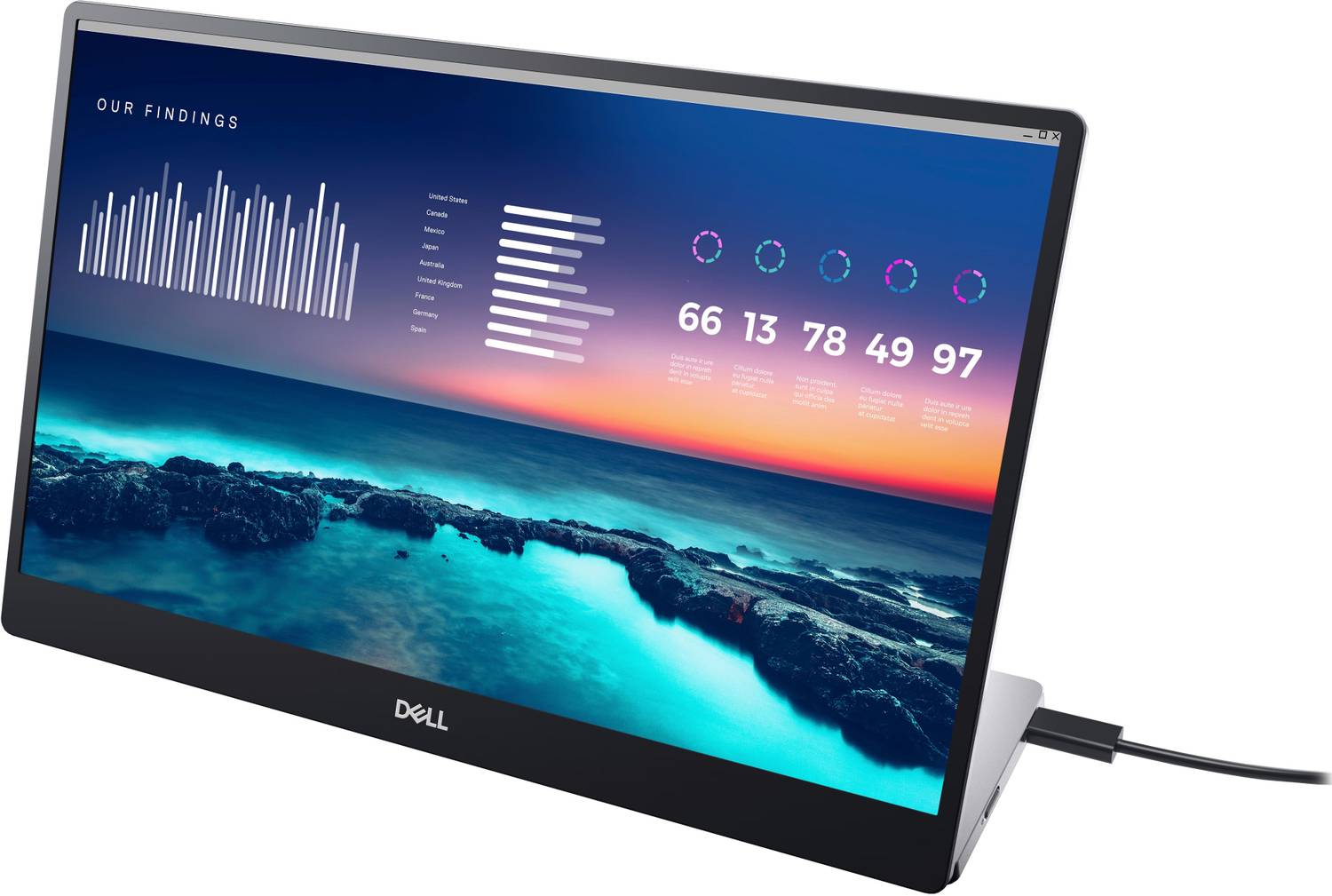 DELL P-Series 35.56 cm (14 inch) Full HD LED Backlit IPS Panel