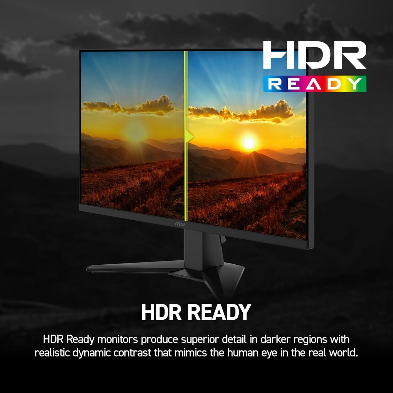 Image of MSI 60.96 cm (24 inch) Full HD IPS Panel Monitor (MAG 245F X24)