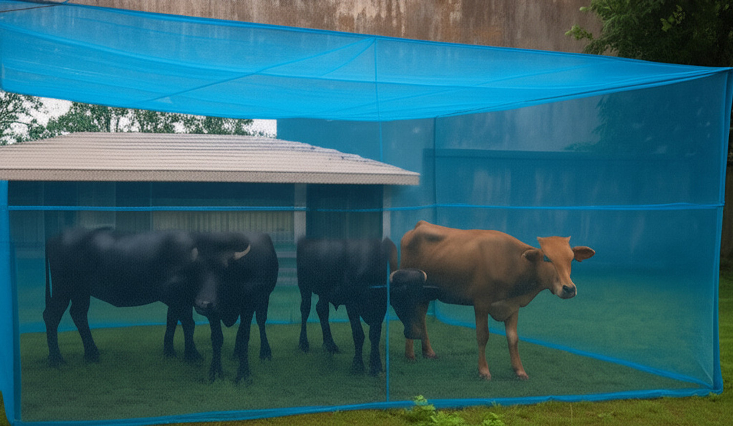 Image of CheckMe Animal Mosquito Net /Machardani for Cow /Buffalo (20x10x10 ft) HDPE - High Density Poly Ethylene Washable Adults Mosquito Net