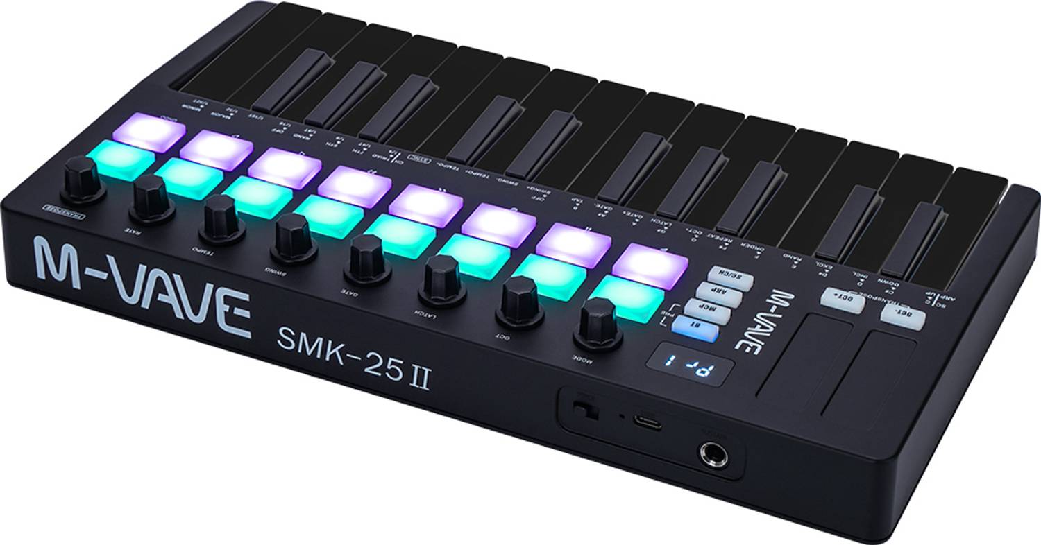Stig M-WAVE Portable Black MIDI Keyboard Controller – 25-Key with