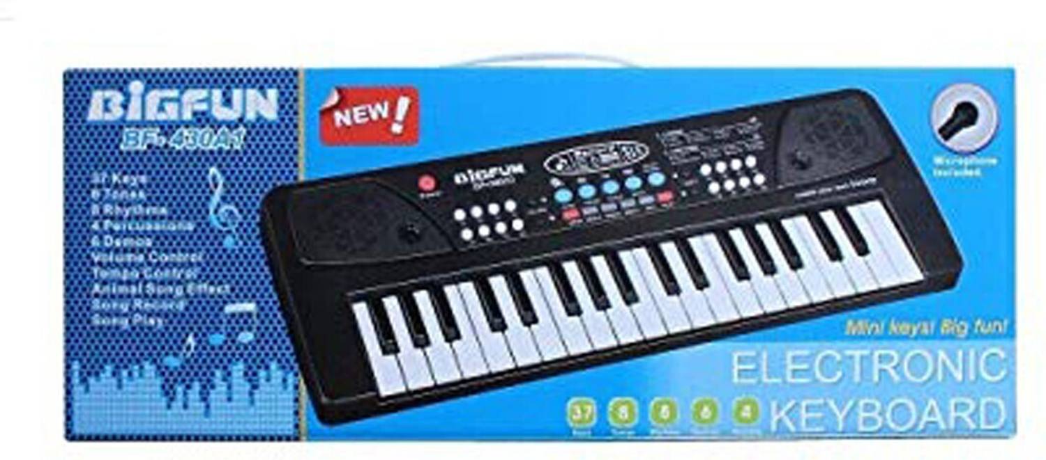 BIGFUN Musical Keyboard Plastic Multicolour (Black)