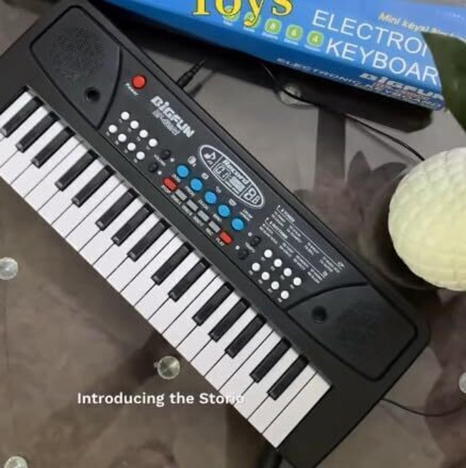 Image of SALEOFF The 37 Key Piano Keyboard Toy with Recording, Mic and USB Cable for Power-23