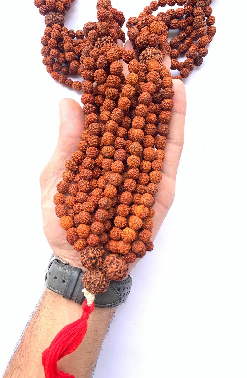 Sarvaksh 1008 Bead Rudraksha Kantha Mala - Image 5
