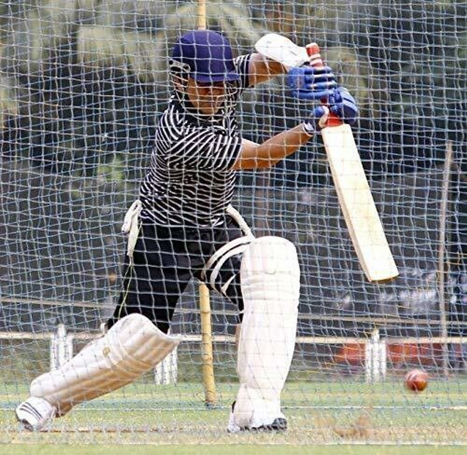 Image of Gulshan Sports Gs Nylon 10x50 Feet Ground Boundary And Practice NET Cricket Net