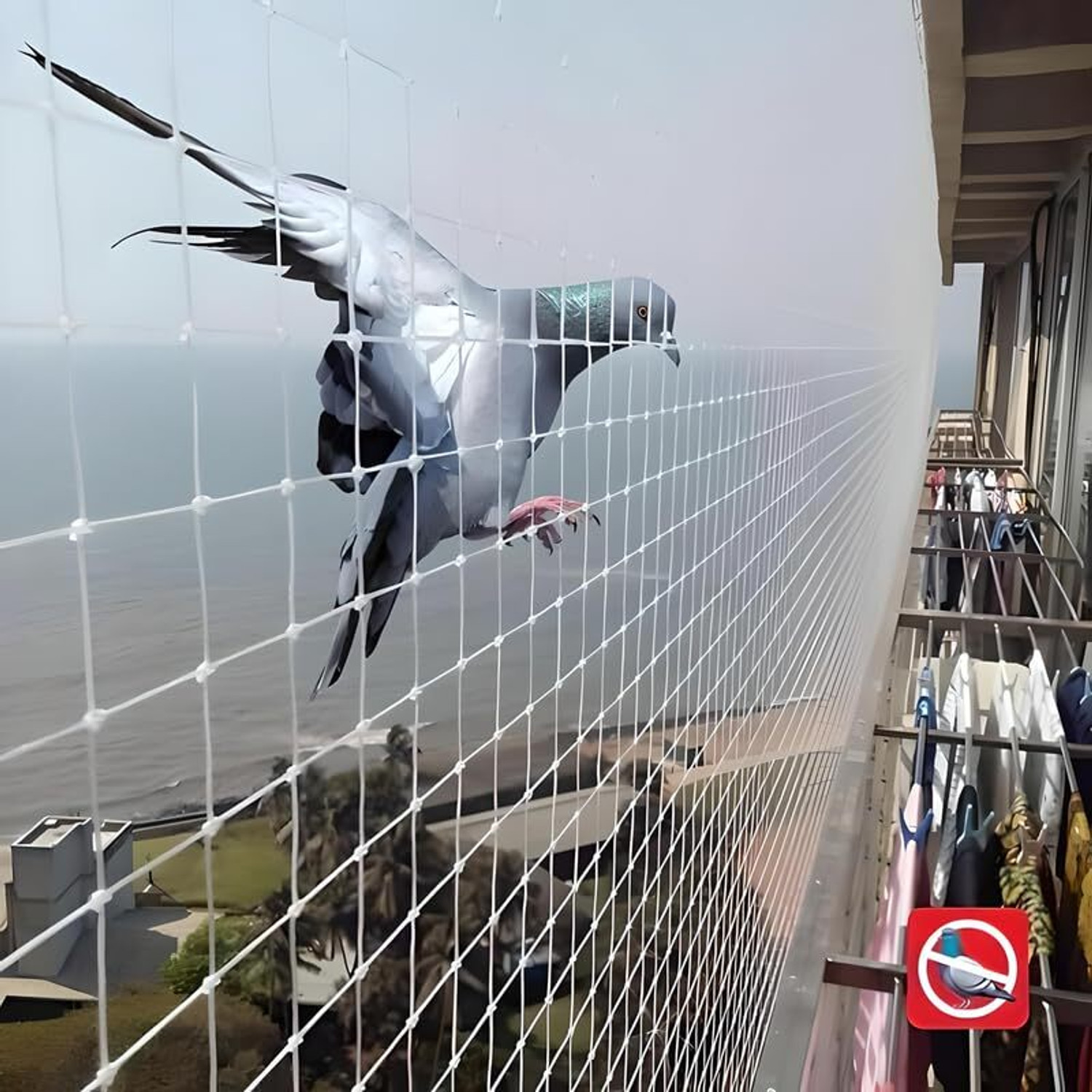 Image of KARIKHBABA 12ft*25ft White Anti-Bird Net UV Stabilized with Tying Ropes Attached Bird Net