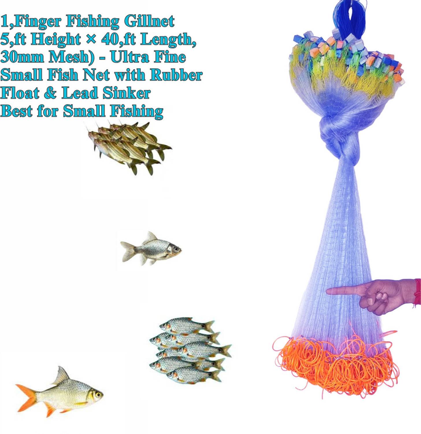 NETKING 30mm 1-Finger Gillnet -5ft Height Expandable (40-50ft) Fishing Net  Lead Weights Fishing Net - Buy NETKING 30mm 1-Finger Gillnet -5ft Height  Expandable (40-50ft) Fishing Net Lead Weights Fishing Net Online at
