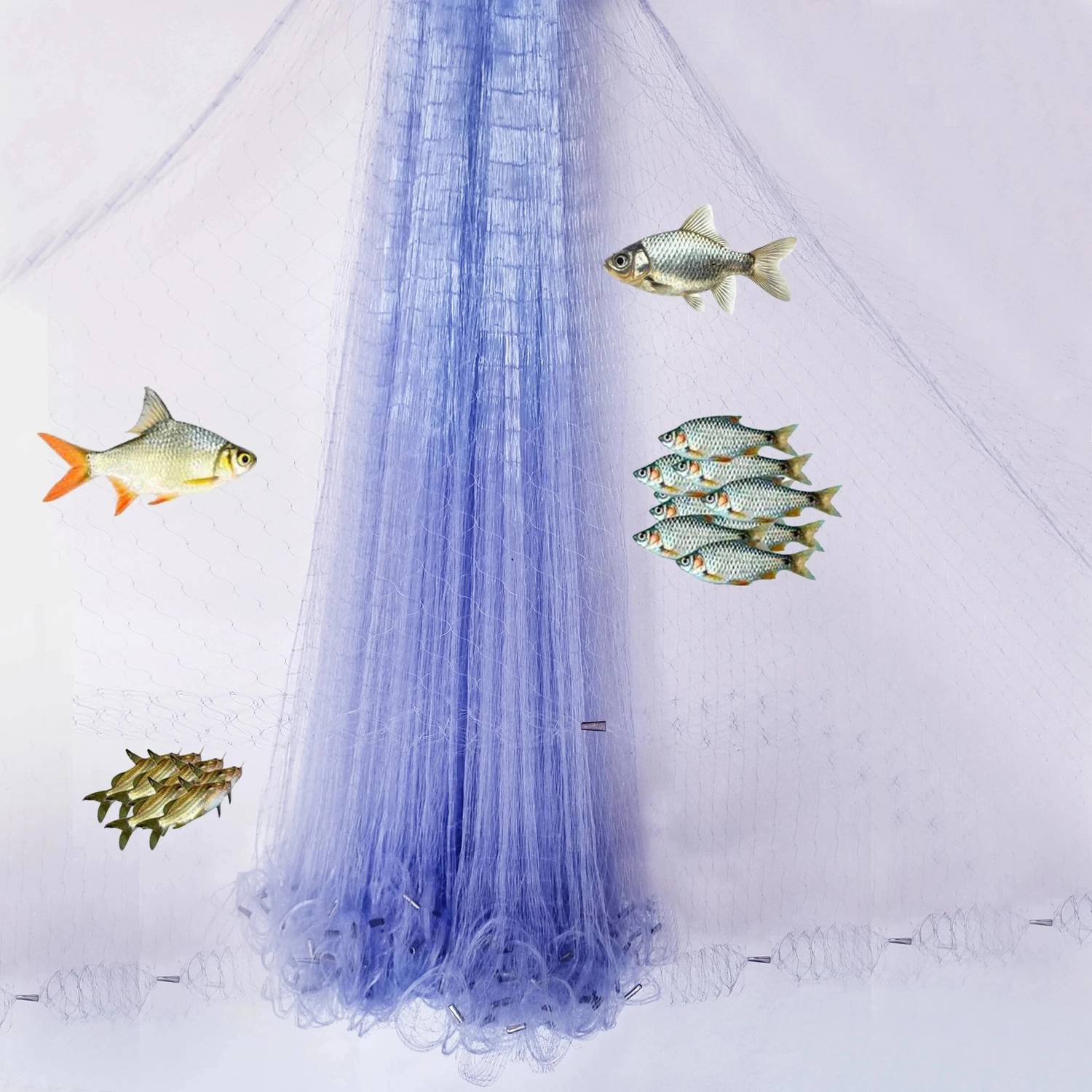 NETKING 30mm 1-Finger Gillnet -5ft Height Expandable (40-50ft) Fishing Net Lead Weights Fishing Net - Buy NETKING 30mm 1-Finger Gillnet -5ft Height Expandable (40-50ft) Fishing Net Lead Weights Fishing Net Online at NETKING 30mm 1-Finger Gillnet -5ft Height Expandable (40-50ft) Fishing Net Lead Weights Fishing Net - Buy NETKING 30mm 1-Finger Gillnet -5ft Height Expandable (40-50ft) Fishing Net Lead Weights Fishing Net Online at