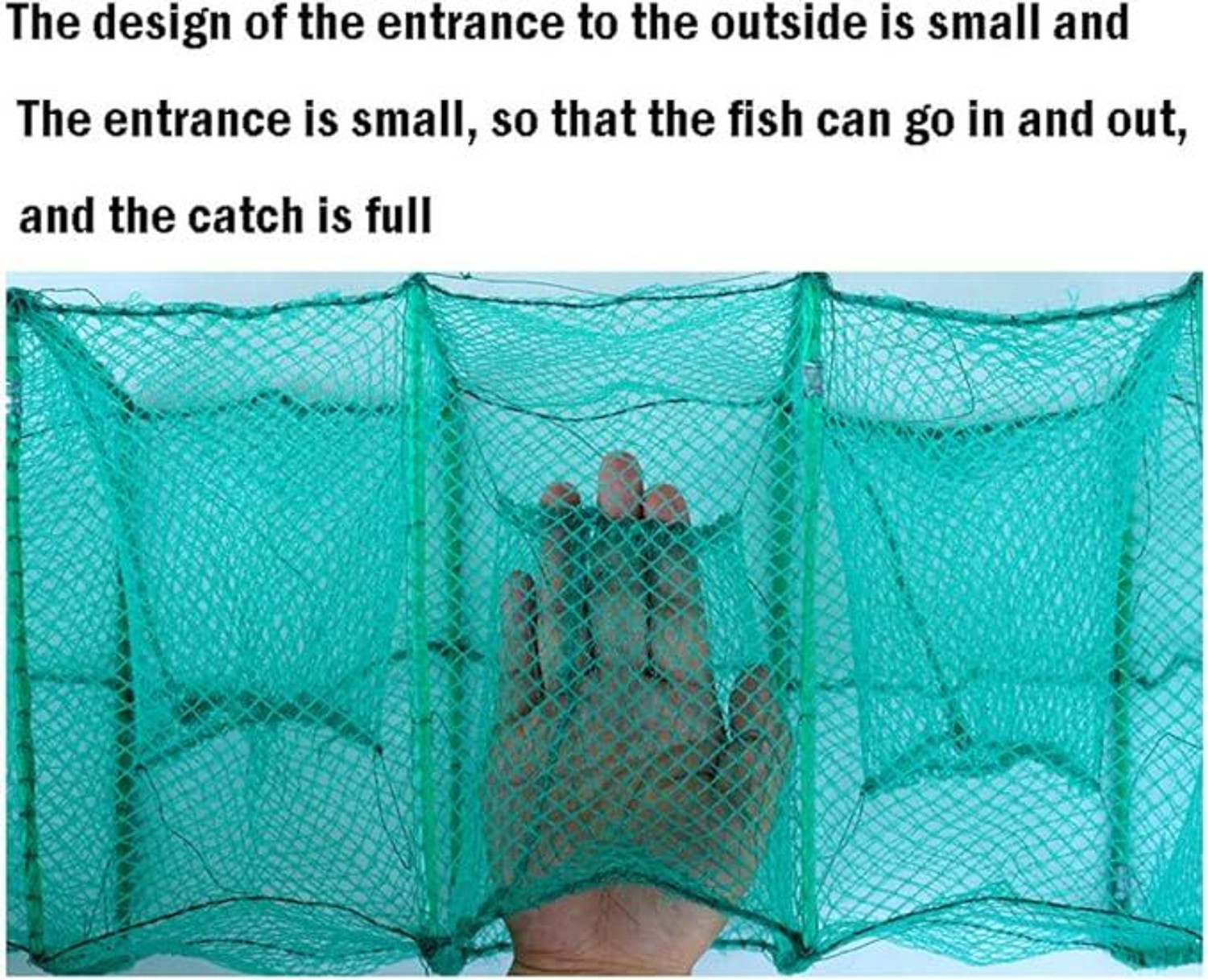 Image of YASHNET Ring Net 08 /12 Size - 60ft China Jaal with 49 PVC Rings, HDPE, 7kg Fishing Net