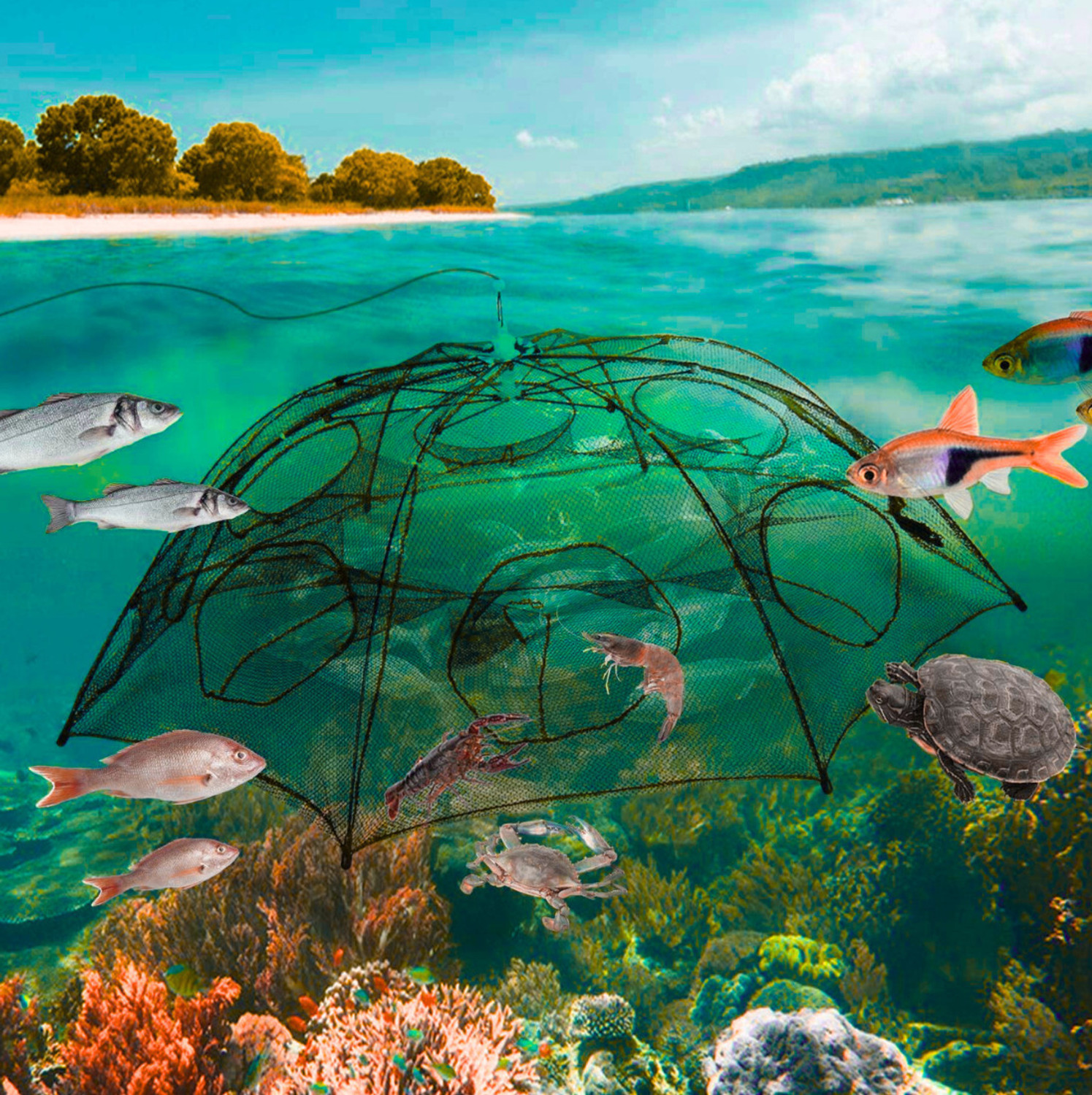 Image of CityNet Umbrella Fishing Net 8 Side Pocket Foldable Bait Fish Trap Nylon Fish Catcher Fishing Net