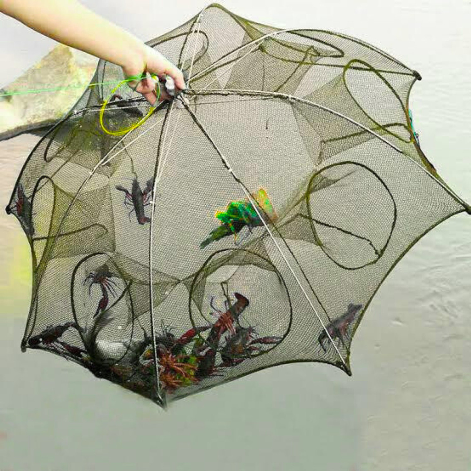 Image of CityNet Umbrella Fishing Net 8 Side Pocket Foldable Bait Fish Trap Nylon Fish Catcher Fishing Net