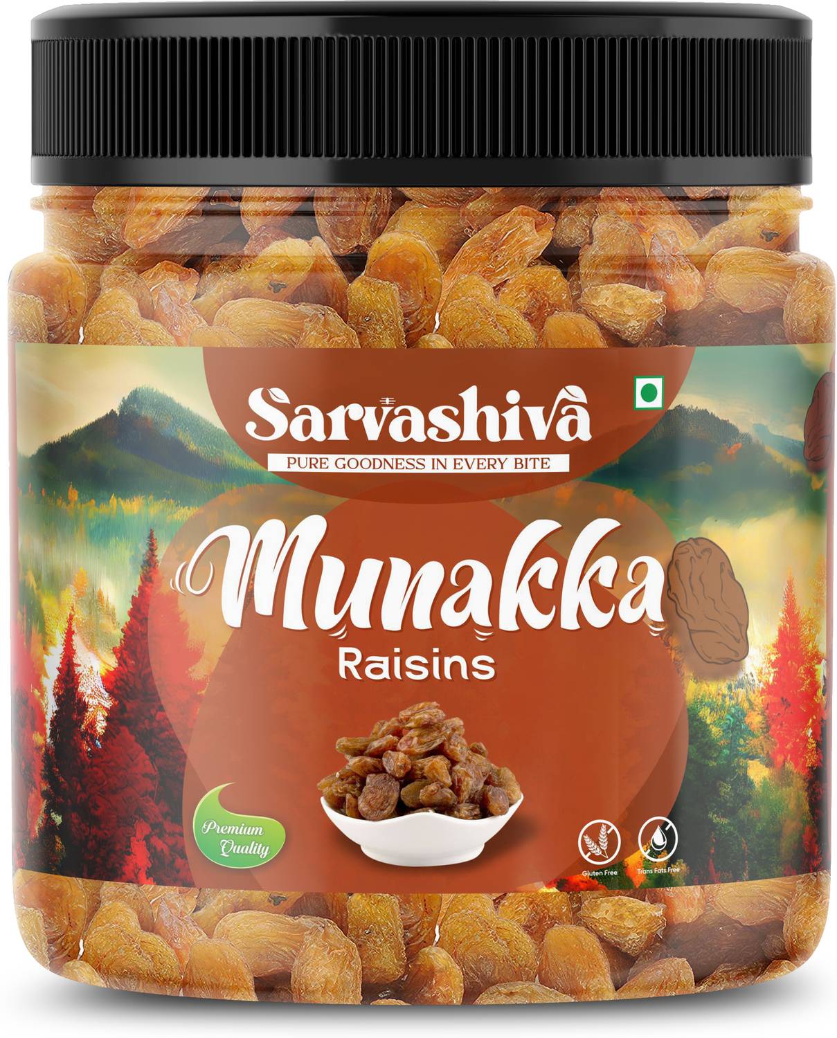 BHUVI ENTERPRISES Munakka_250G Raisins