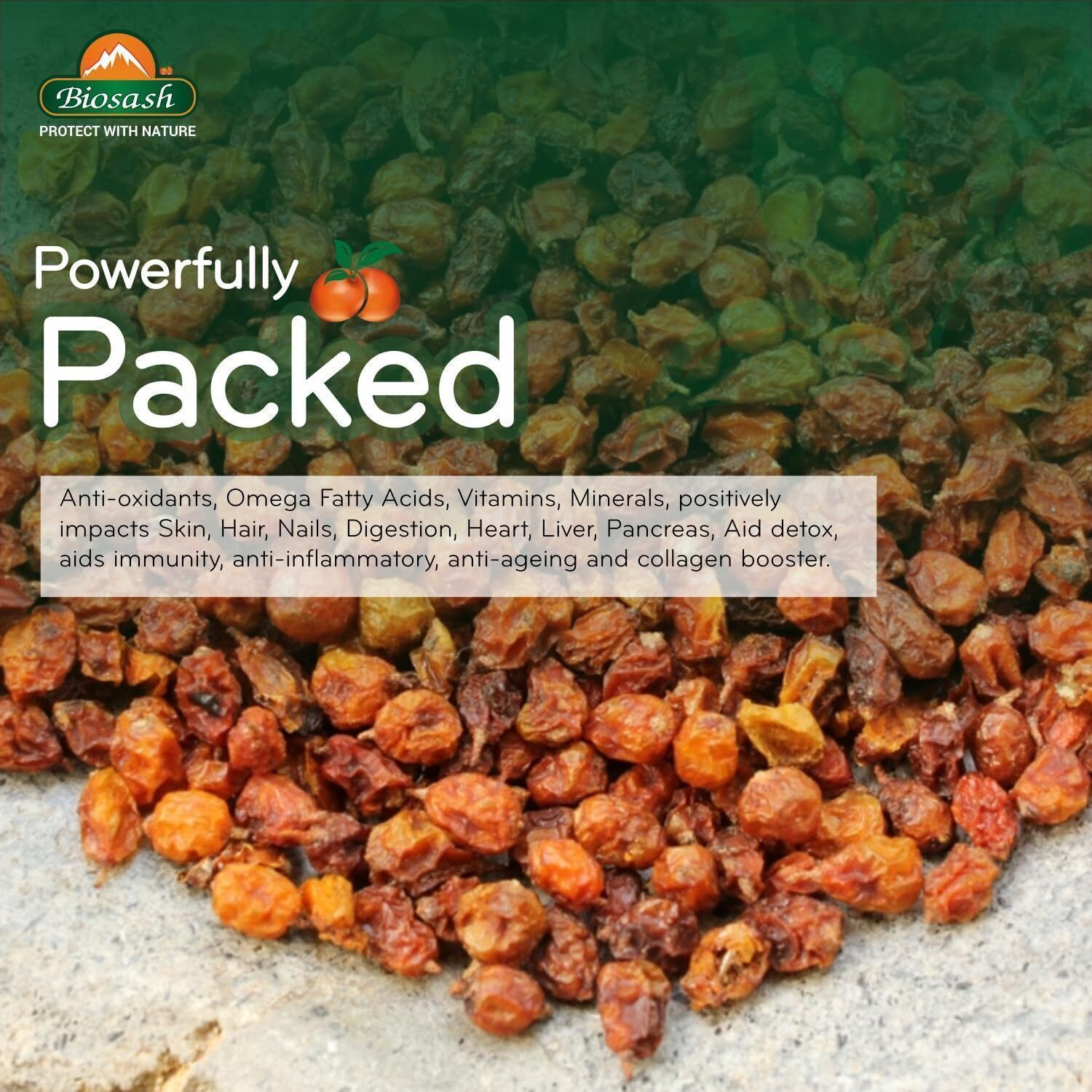 Image of BIOSASH Sun Dried Seabuckthorn Berries With Vitamins & Omega 3 6 7 & 9 Filbert Nuts