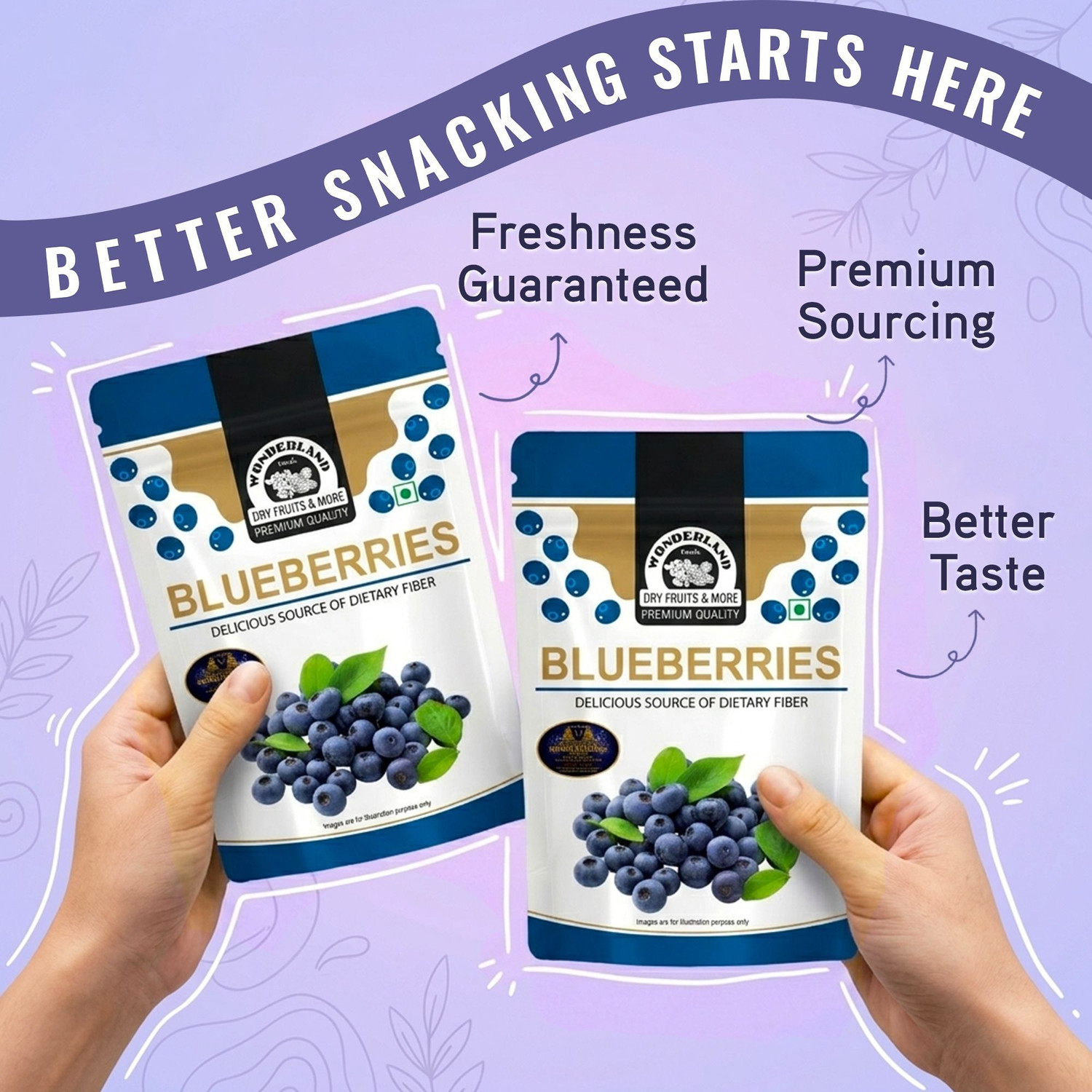 Image of WONDERLAND Blueberries Dried Fruits Combo Pack of 2 (150g Each) Blueberry