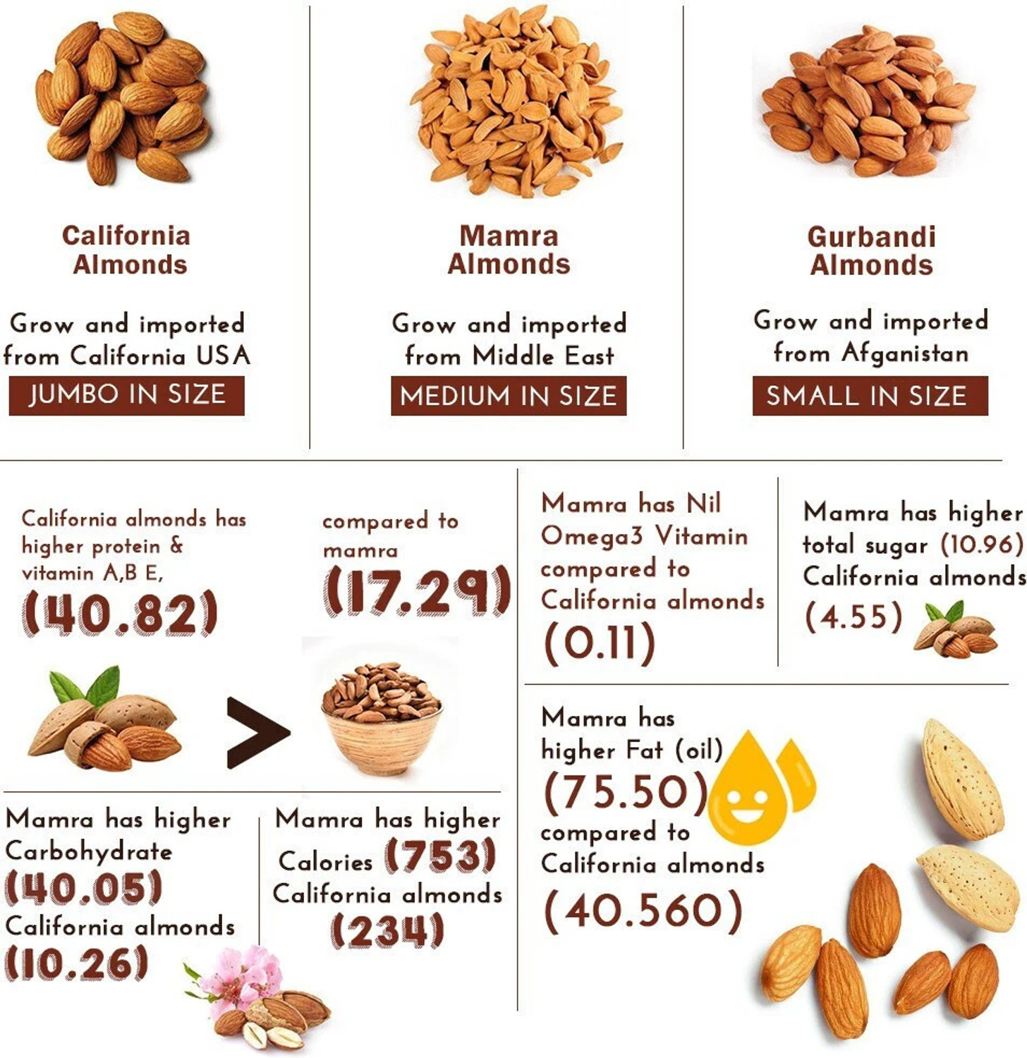 Image of WONDERLAND Foods Premium California Raw Almonds