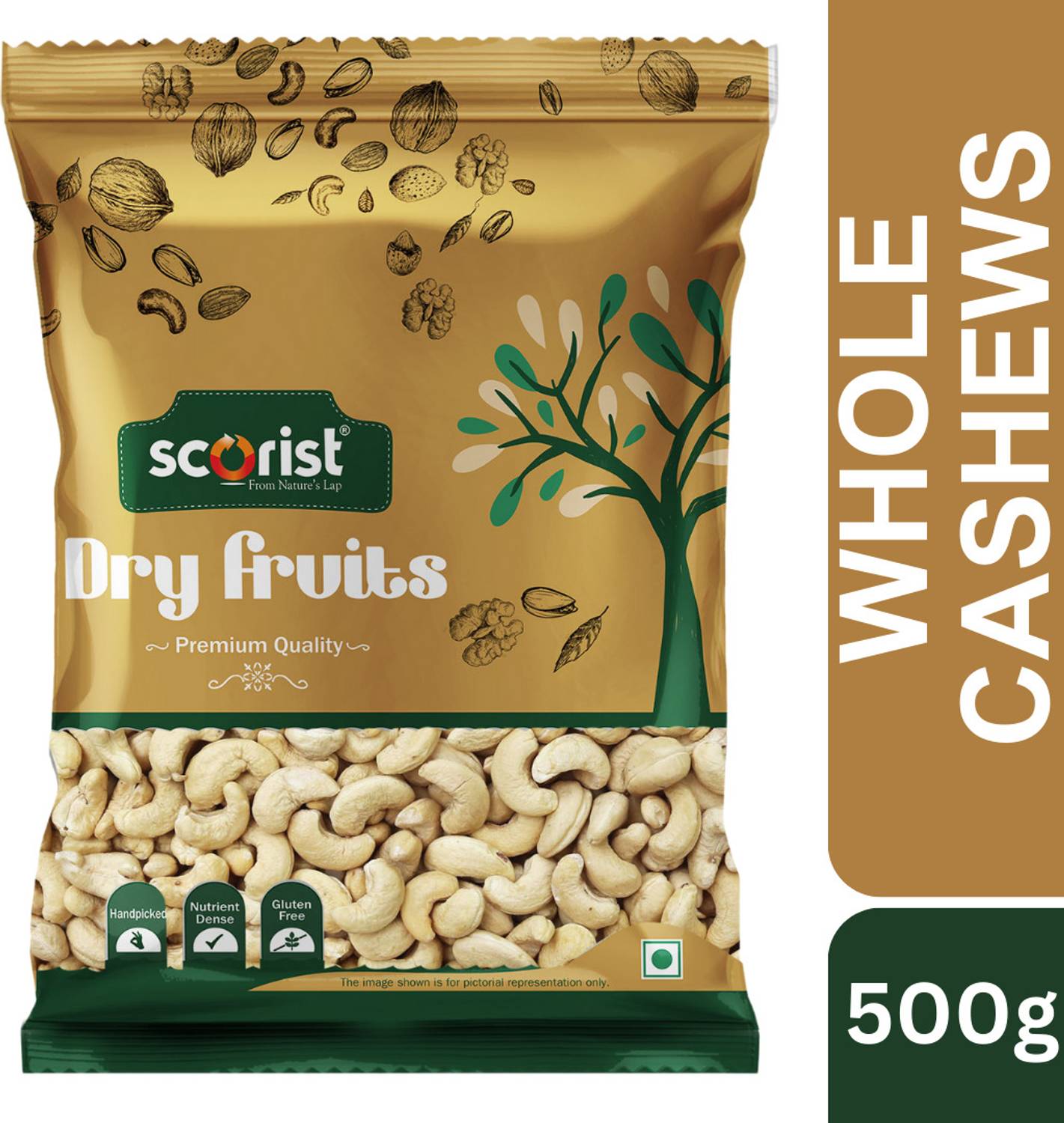 Scorist Popular Raw Cashew 500g Cashews