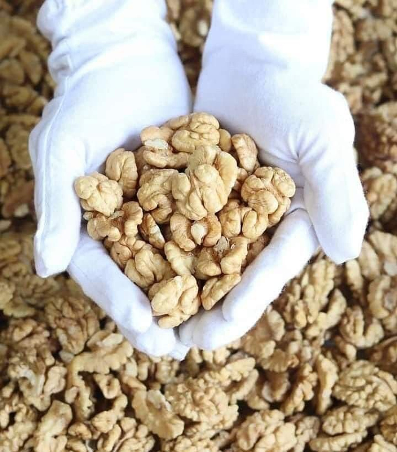 Image of Hills Organics Dry Fruits,100% Fresh & Natural, Premium Kashmiri Walnuts Kernls, Akhrot Giri Walnuts