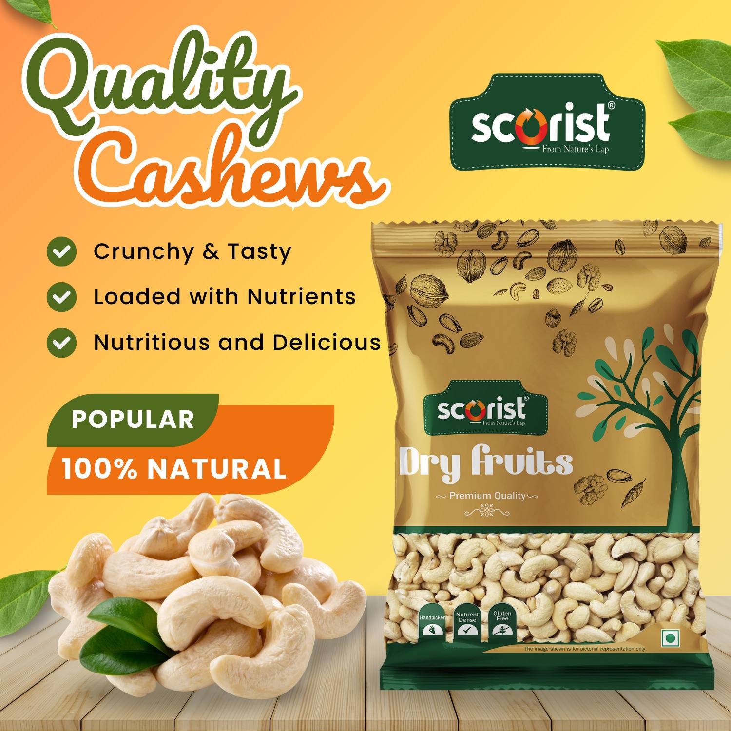 Scorist Popular Whole Cashews (1 x 1 kg)