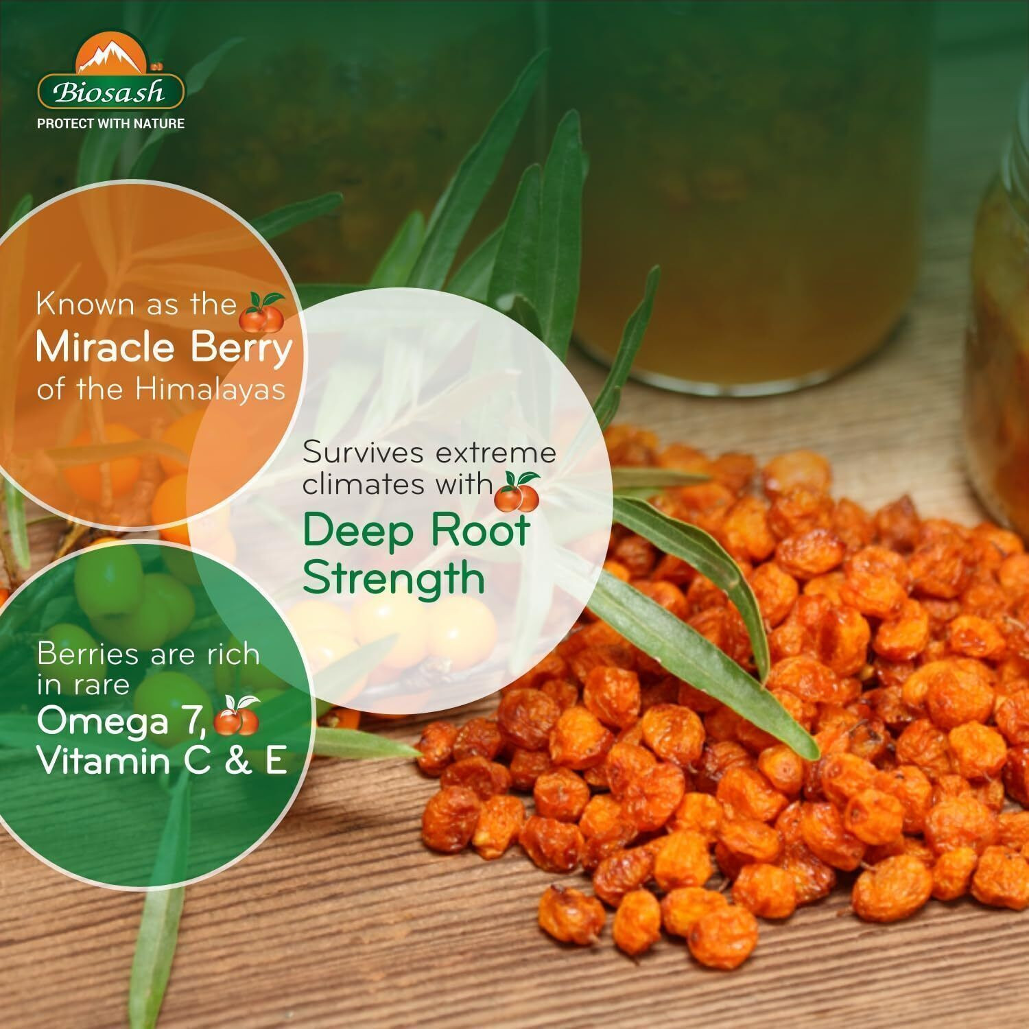 Image of BIOSASH Sun Dried Seabuckthorn Berries With Vitamins & Omega 3 6 7 & 9 Filbert Nuts