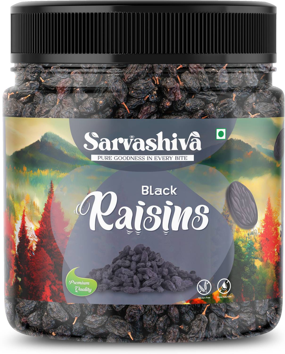 BHUVI ENTERPRISES Black_Raisins_500G Raisins