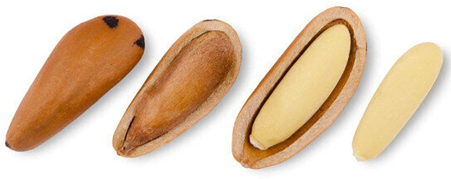 Image of Nature Vit Pine Nut With Shell, 200g [Whole Chilgoza]