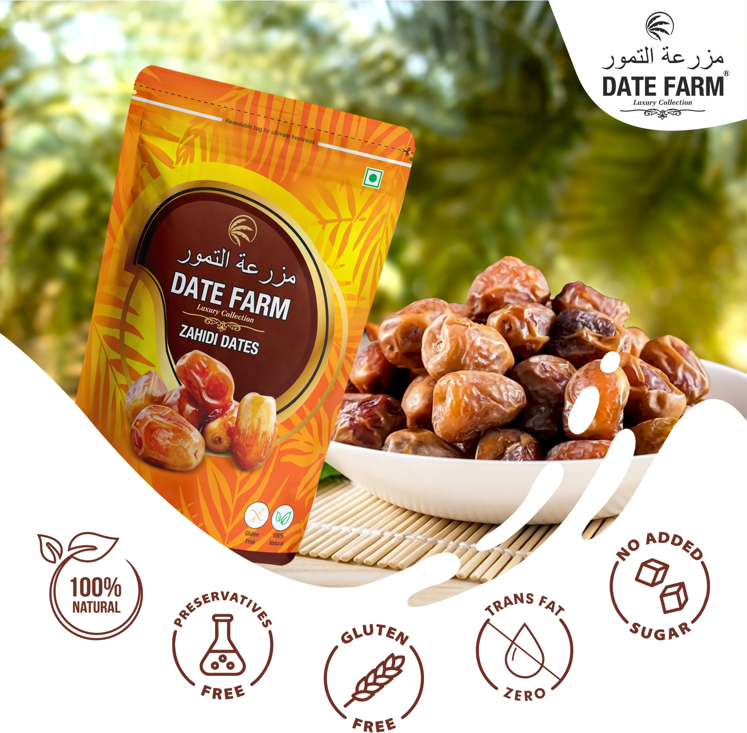 Image of Date Farm Zahidi Luxury & 100% Natural Khajur, Boosts Immunity, Arabian Wet Dates Wet Dates