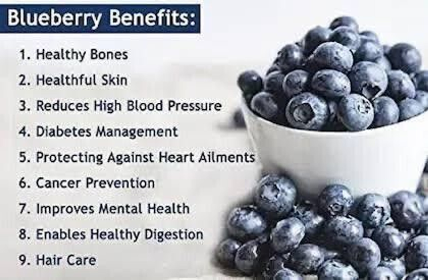 Image of Bite Of Dight Natural & Premium Bule Berry | High Protien {500gm} Blueberry (1 x 500 g)