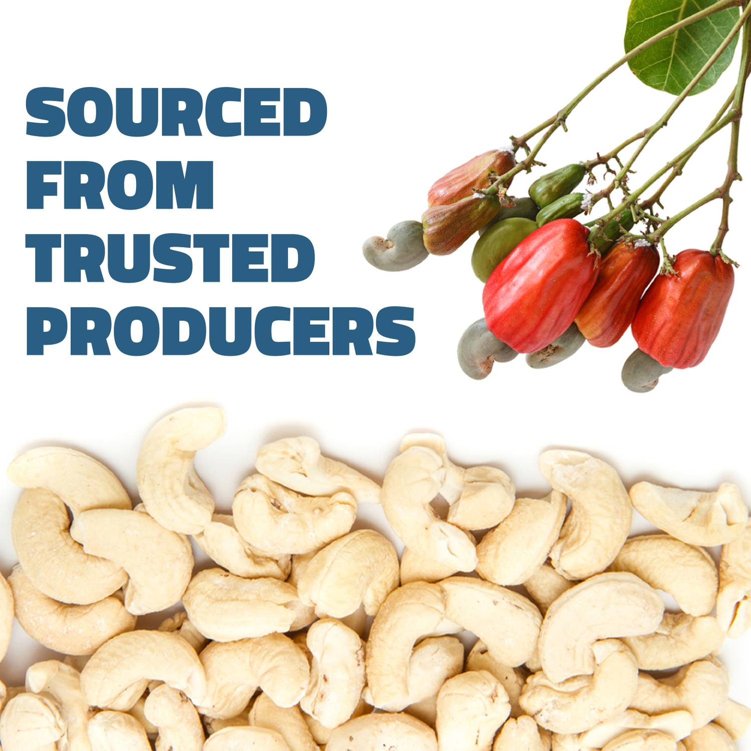 Farmley Whole Raw Kaju Cashews - Image 4