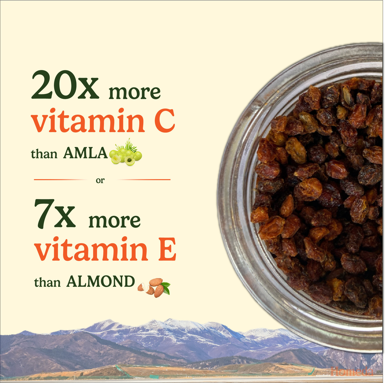 Image of Homeda Sea Buckthorn Berry - Protein-Rich Omega, Vitamin | Seabuckthorn Berry Dry Seeds Golden Berries