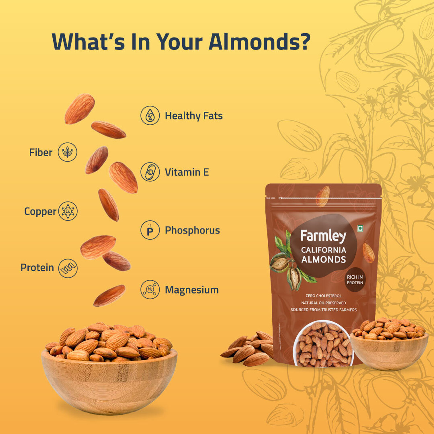 Image of Farmley Dry fruits Combo Pack of Almonds Cashews Raisins Walnuts Pista (1100 g)